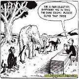 A Fair Exam for the Monkey