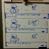 Differentiating e^x Is Not Very Effective According To Pokemon