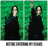 Exams feel like the Hunger Games