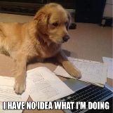 I have no idea what I'm doing