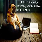 Spread Your Studying Evenly