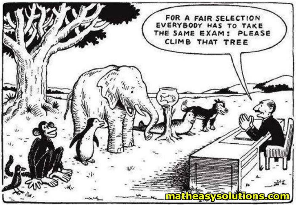 A Fair Exam for the Monkey