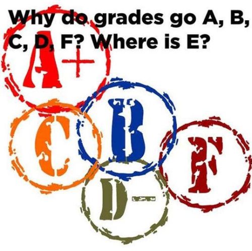 Why Do Grades Go A B C D F Where Is E Memes Grade Calculator